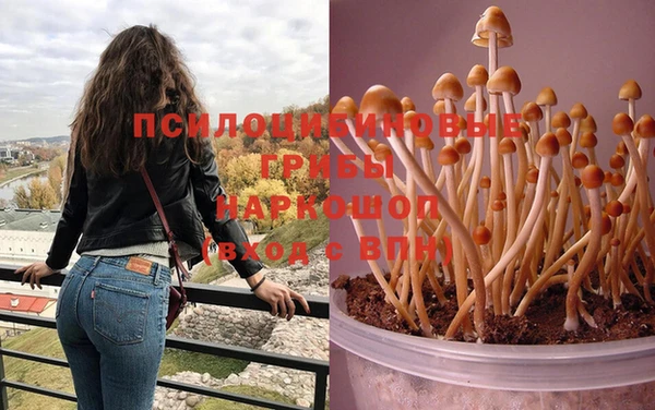 стафф Козельск