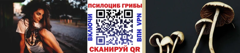 Галлюциногенные грибы Cubensis  Цивильск 