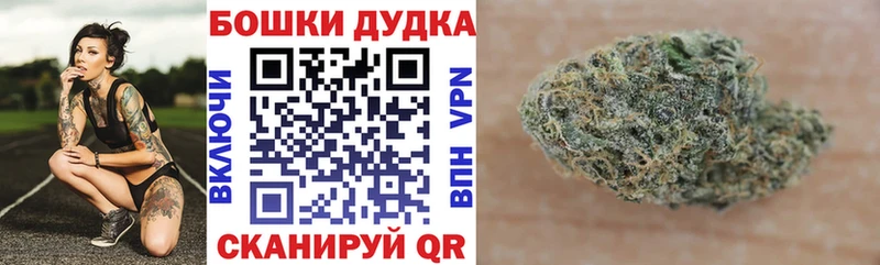Марихуана White Widow дарнет шоп Цивильск